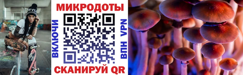 мега   Верхний Уфалей  дарк нет какой сайт  Псилоцибиновые грибы Psilocybe 